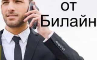 Тариф «Всё 3» от Билайн